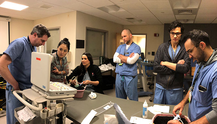 New IR Simulation Training for Fellows