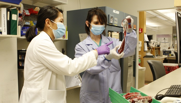 Clinical Pathology residents